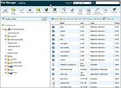 cPanel - {{hepsia_vs_cpanel_paragraph_3_title}} cPanel - {{hepsia_vs_cpanel_paragraph_3_title}}