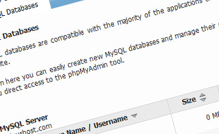 {{database_manager_paragraph_1_title}} {{database_manager_paragraph_1_title}}